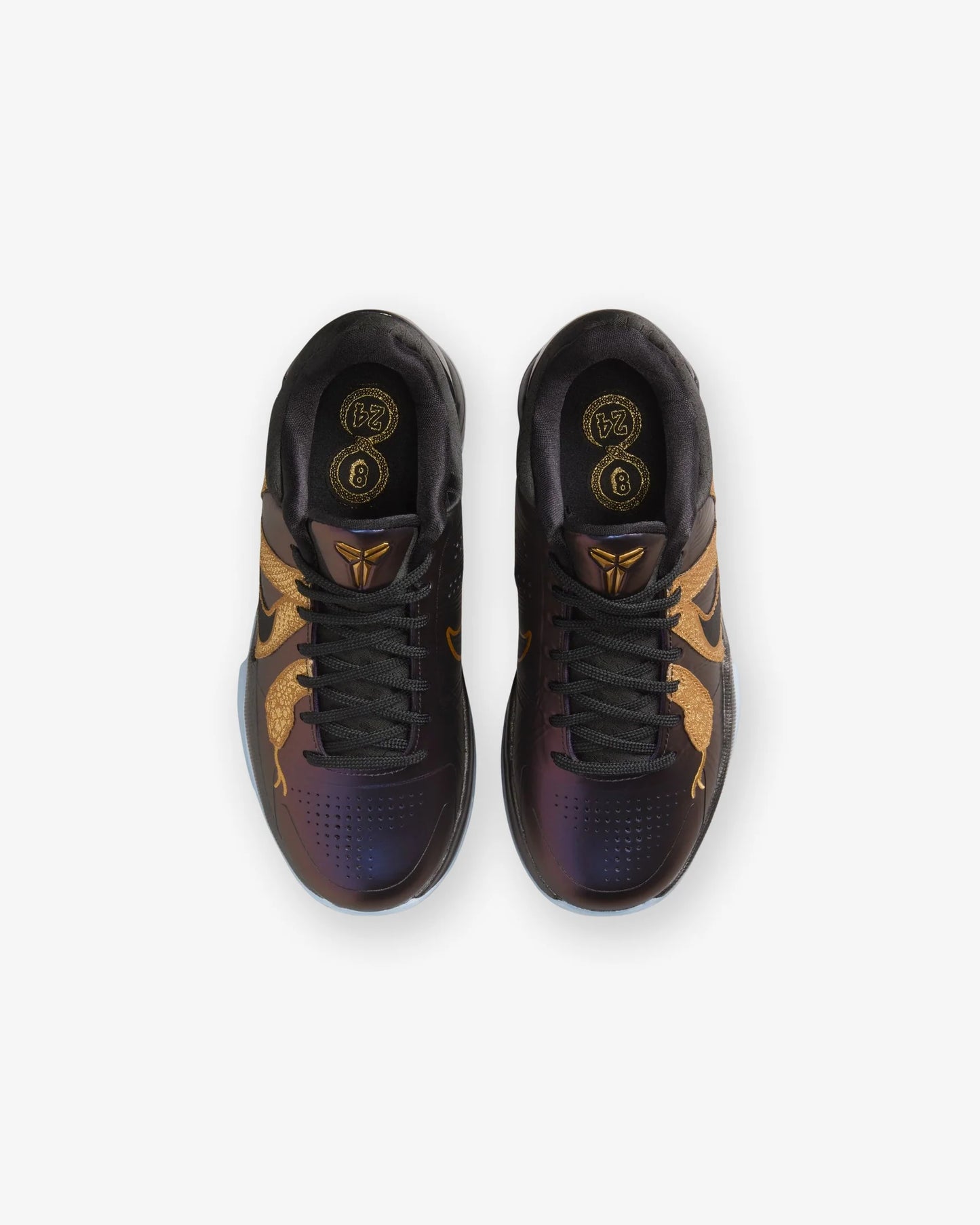 KOBE 5 PROTRO YOTS “Eggplant”