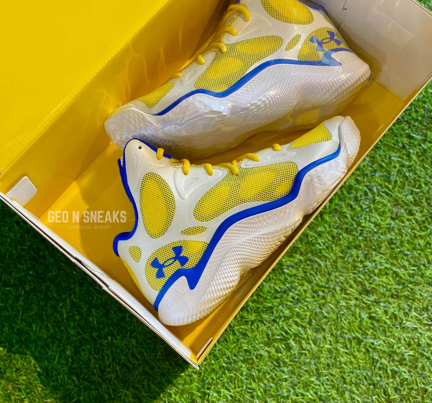 CURRY SPAWN FLOTRO “Dub Nation”